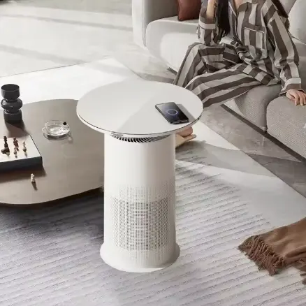 Energy Efficient For Allergy Sufferers Hepa Filter Removes